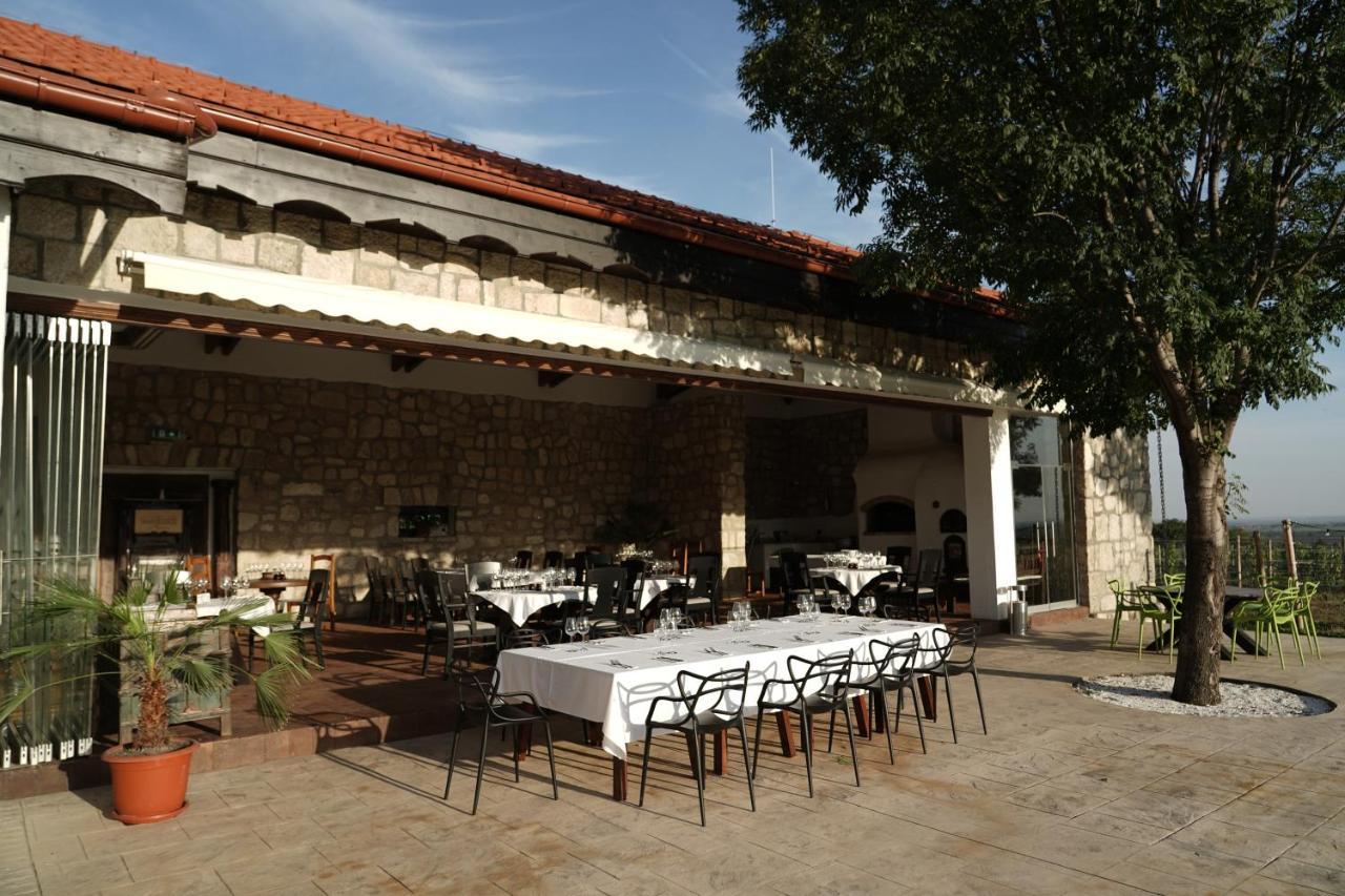 Hotel Crama Apogeum - Adult Only Gura Vadului Exterior foto